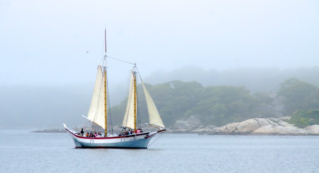 Sailing the harbor, Gloucester, Mass.