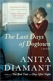 Anita Daimant's The Last Days of Dogtown is a fictional novel based on the colonial settlement in Massachusetts.