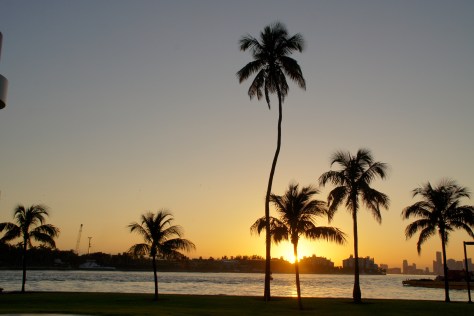 Dreaming of balmy weather and tropical sunsets in Miami Beach, Florida.