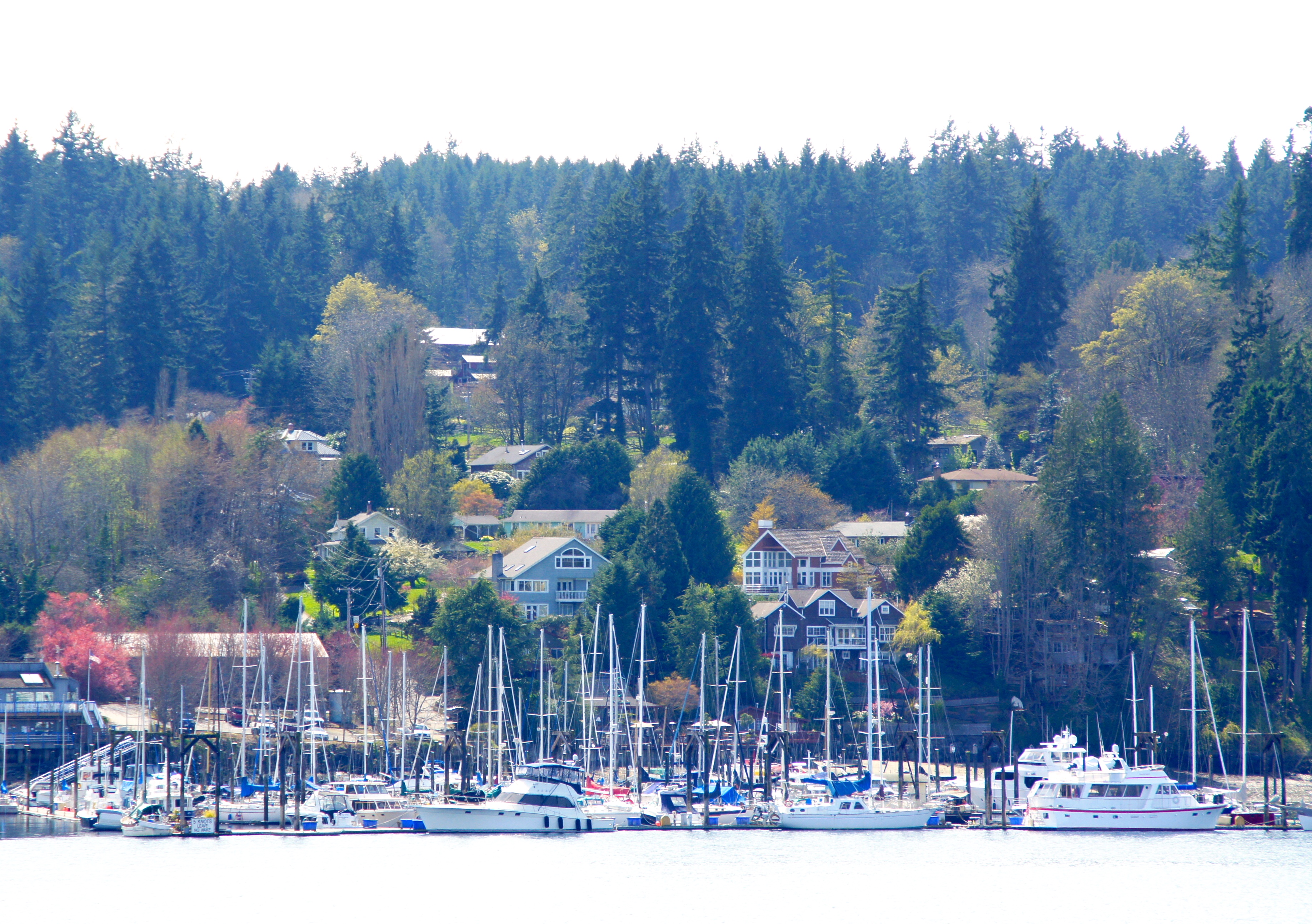 Eagle Harbor, Bainbridge Island, Washington 