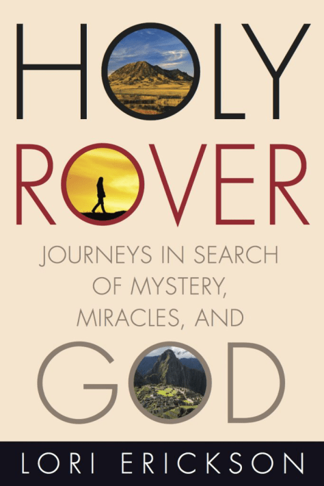 cover of book Holy Rover offthebeatenpagetravel.com